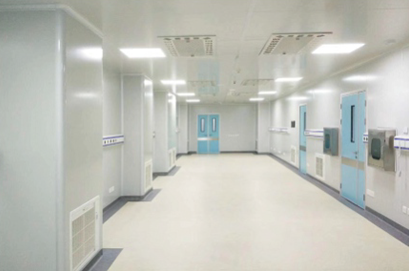 玻鎂(měi)岩棉淨化板應用案例