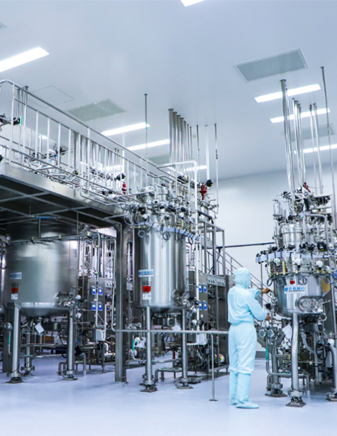 製（zhì）藥行業